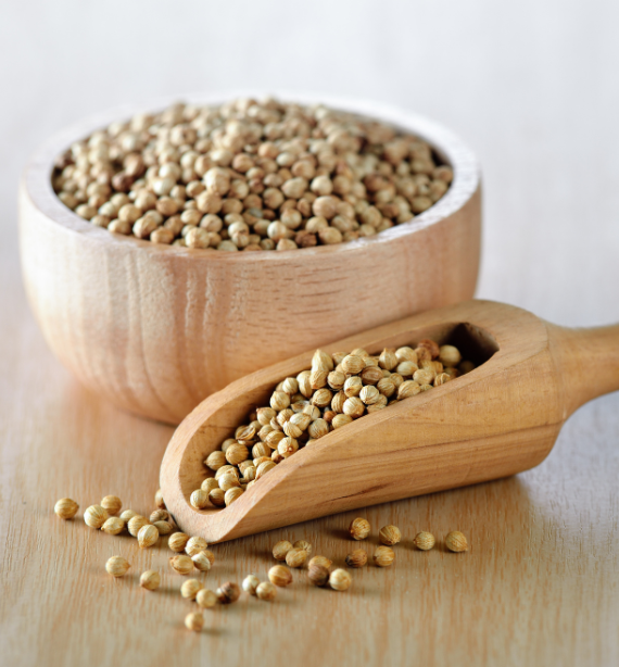 Coriander Seeds