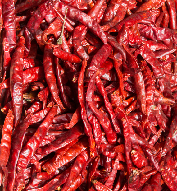 Dry Red chilli