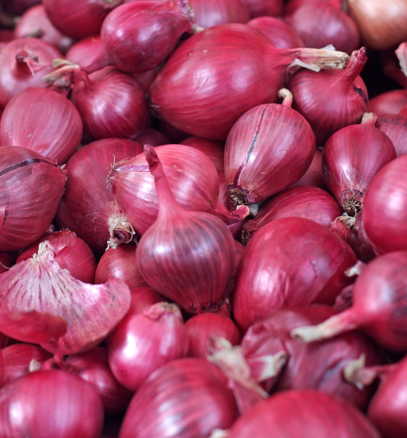 Onions